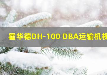 霍华德DH-100 DBA运输机视频